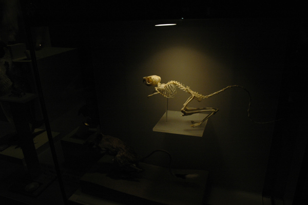 h (03).JPG